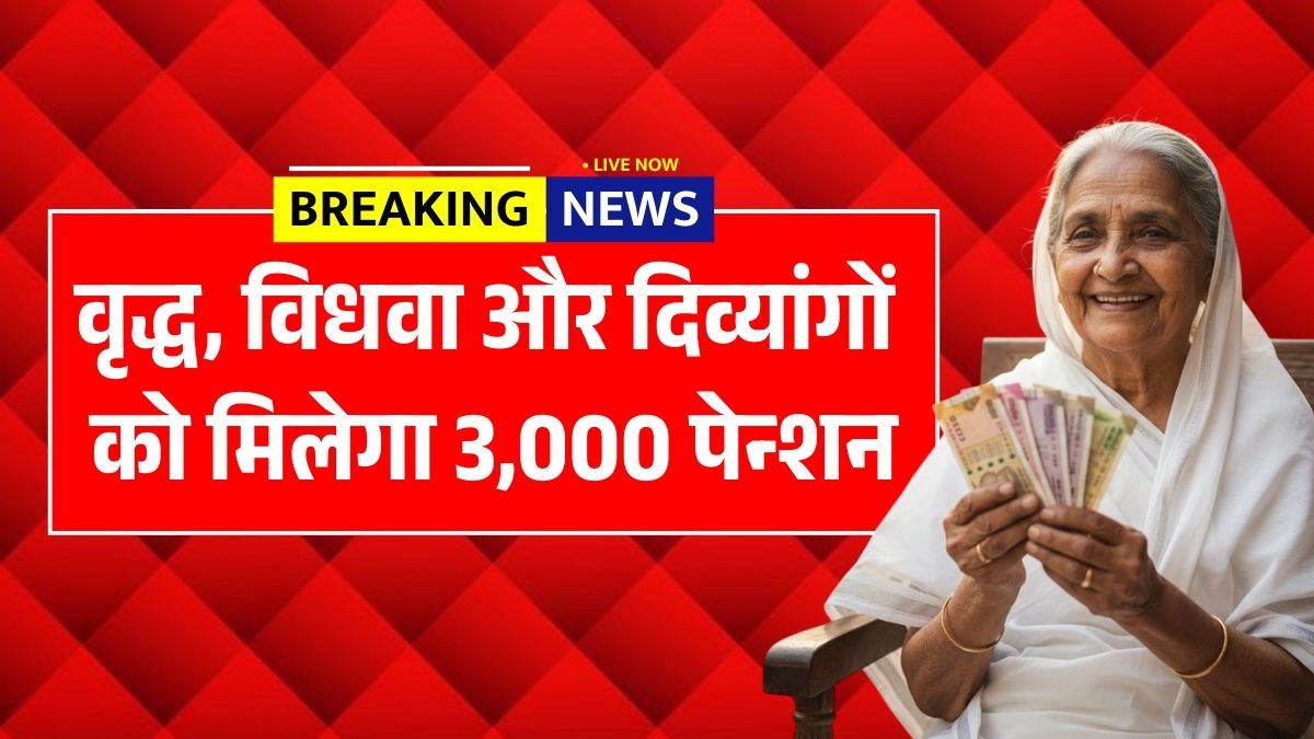 Pension Scheme Update 1 March 2026